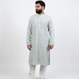 Light Grey Embroidery Kurta Set